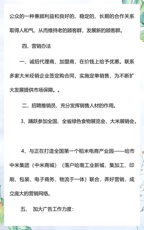 大米市场营销策划方案
